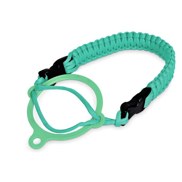 image-b47e966a941c42afb6faf6780e626469